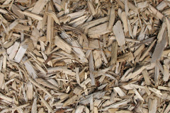 biomass boilers Lyneal Wood