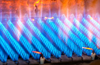 Lyneal Wood gas fired boilers
